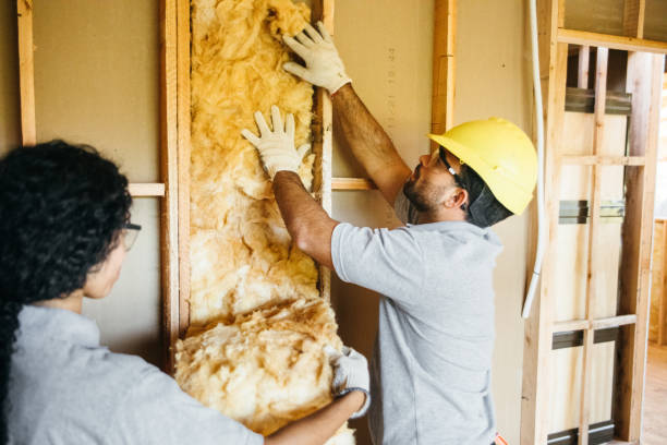 Best Soundproof Insulation Installation  in Schuylkill Haven, PA