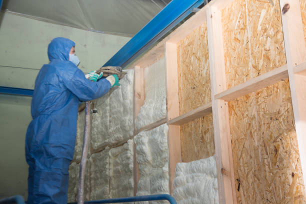 Best Fiberglass Insulation  in Schuylkill Haven, PA
