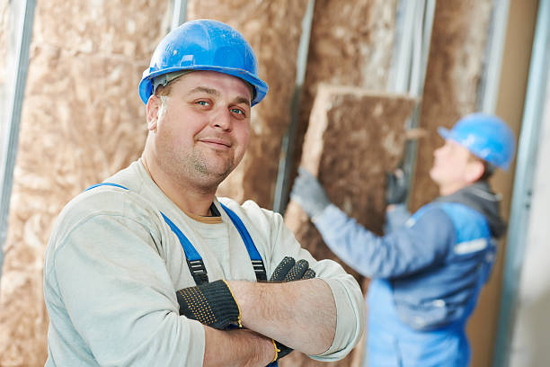 Best Best Insulation Companies  in Schuylkill Haven, PA